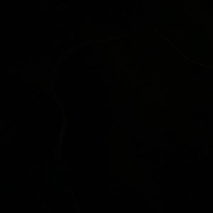 Meet your Posher, Sheila